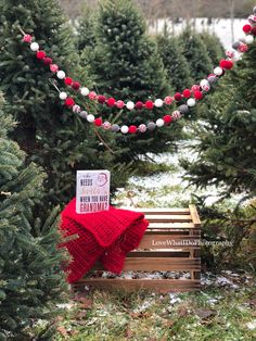 a red and white scarf sitting on top of a wooden bench next to christmas trees