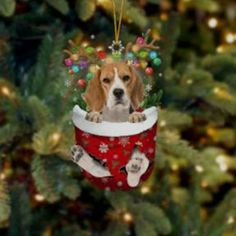 a beagle dog in a christmas stocking ornament hanging from a christmas tree