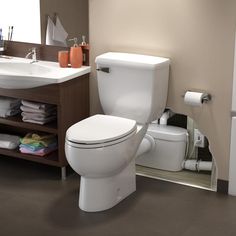 a white toilet sitting next to a bathroom sink