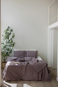 a bed sitting under a window next to a plant in a room with white walls