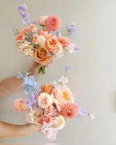 two hands holding flowers against a white wall