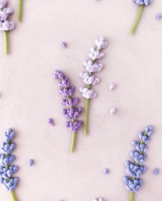 purple and white frosted cake with lavender sprinkles