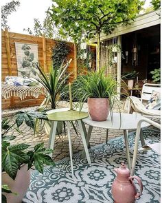 some potted plants are sitting on the patio