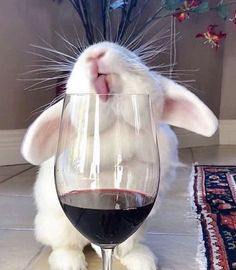 a white rabbit sticking its tongue out next to a wine glass with red wine in it