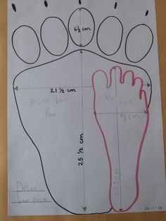 a child's drawing of a foot with measurements