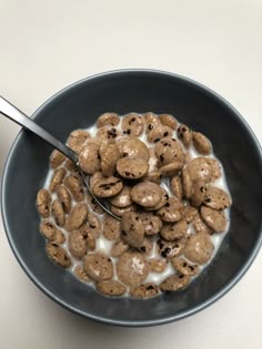 a bowl of cereal with milk and chocolate chip cookies