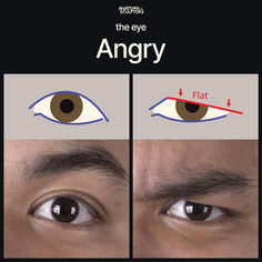 an image of two eyes with the words'the eye angry flat '