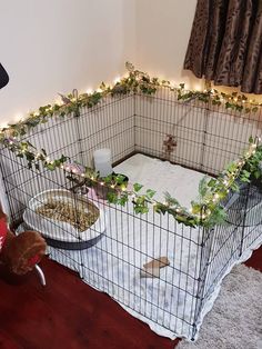 a cage with plants growing on it and a teddy bear in the corner next to it