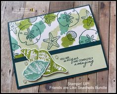 stampin'up friends are like seashells bundle card with sea life stamps