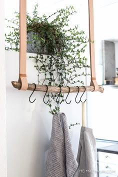 a coat rack with plants hanging from it