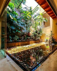 the inside of a house with plants and water