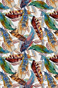 watercolor feathers on a white background with blue, green and orange colors in the middle