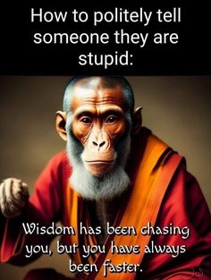 a monkey with a quote on it that says, how to politify tell someone they