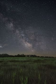 the night sky is filled with stars and green grass