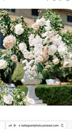 a vase filled with lots of white flowers on top of a lush green park area