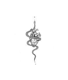 a drawing of a snake wrapped around a heart