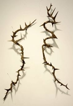 two pieces of art made out of branches