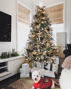 a small white dog wearing a sweater in front of a christmas tree