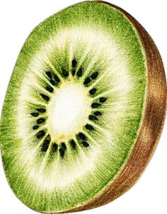 a kiwi cut in half on a white background