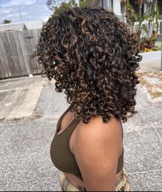 2b Curly Hair Color Ideas, Curly Hair Brown Lowlights, Black Woman With Highlights, Lowlights For Brown Hair Curly, Highlight Curly Hair Black Women, Brown Pintura Highlights Curly Hair, Dark Honey Brown Hair With Highlights, Expensive Brunette Curly Hair, Mocha Brown Curly Hair