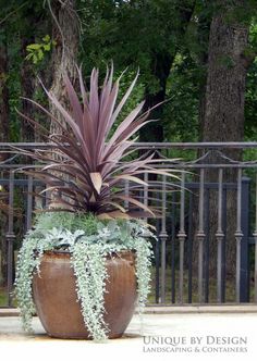 a large potted plant sitting on top of a sidewalk next to a metal fence