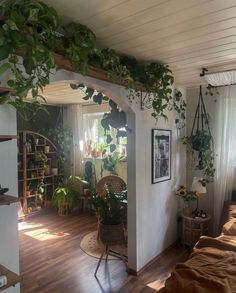 a living room filled with furniture and lots of plants