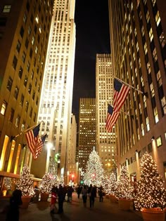 christmas trees and lights in the city at night