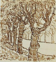 an ink drawing of trees in the woods