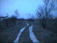 a blurry photo of a path in the middle of a field