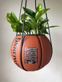 a basketball hanging from a wire planter