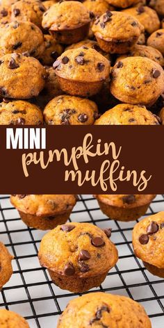 chocolate chip pumpkin muffins on a cooling rack with text overlay that reads, mini pumpkin muffins