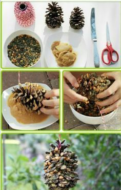 pine cones are being used as decorations for the christmas tree and to decorate with them