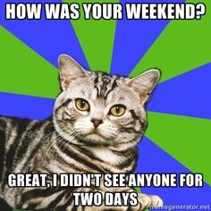 When spending a heavenly weekend alone means that you’re missing out on time with friends. | 27 Problems Only Introverts Will Understand Introvert Cat, Introvert Love, Introvert Problems, Introverts Unite, Behind Blue Eyes, Quotes Thoughts, Socially Awkward, Life Quotes Love, Sigmund Freud