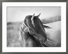 a black and white photo of a horse's head with long hair blowing in the wind