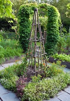 an outdoor garden with various plants and flowers in the center, surrounded by wooden trelliss