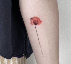 Wind Tattoo, Orange Poppy, Poppy Flower, Tattoo Studio, Maple Leaf Tattoo, Infinity Tattoo