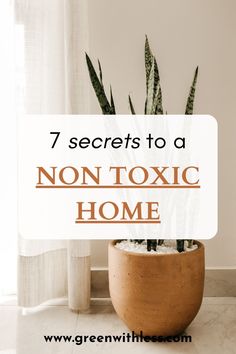 a potted plant with the words 7 secrets to a non - toxic home