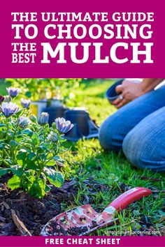 the ultimate guide to choosing the best mulch for your garden or flowerbedding