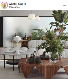 an image of a living room setting with plants on the coffee table and couches