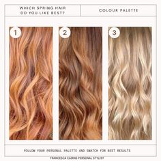 Colour Analysis • seasonal palette • spring hair colours • bright spring • warm spring • light spring Light Spring Red Hair, Warm Spring Color Palette Hair, Warm Spring Hair Color Ideas, Clear Spring Hair Color, Light Spring Hair Color Ideas, True Spring Hair