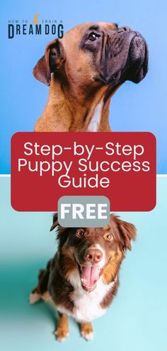 a dog with its mouth open and the words step by step puppy success guide on it