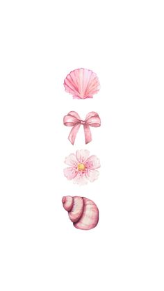 three seashells, one pink and one white with a bow on the side