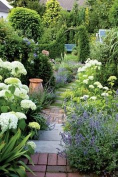 a garden with lots of plants and flowers