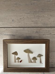 three mushrooms in a shadow box on a wooden surface