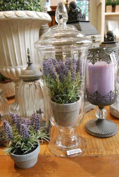 lavender plants in glass containers and candles on a table