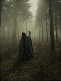 a hooded figure standing in the middle of a forest