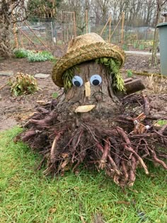 a tree that has been cut down and is wearing a hat with eyes on it