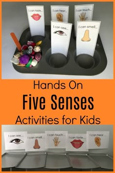 hands on five senses activities for kids