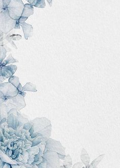 blue flowers on white background with space for text