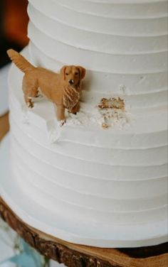 a small dog standing on top of a white cake